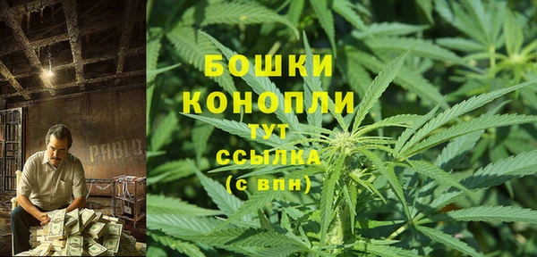 крисы Бронницы