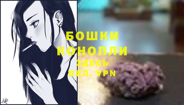 синтетический гашиш Богородицк
