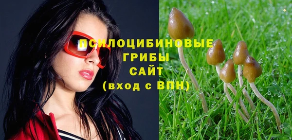крисы Богородск