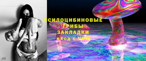 молекула духа Бугульма