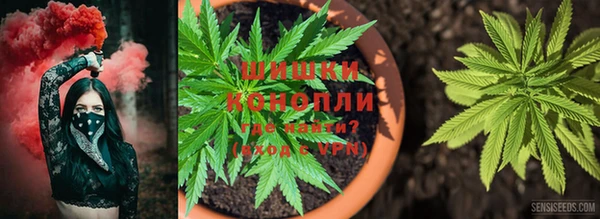 крисы Богородск